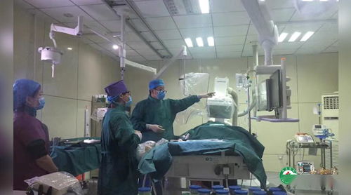 涉縣醫院心血管內科 高端設備與專業技術，打造精心的醫療健康服務